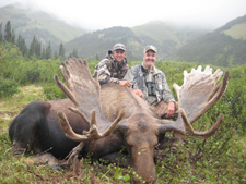 Early season bull in velvet taken in August Early season bull velvet
